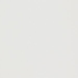 REVESTIMENTO FORMA BRANCO BRILHO 33X61 (BOLD 2MM) ELIANE (2,42)